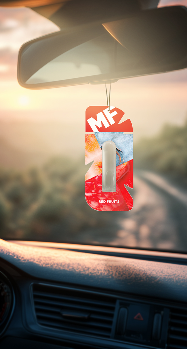 Air freshener in a capsule «VIBE» Mr.Fresh